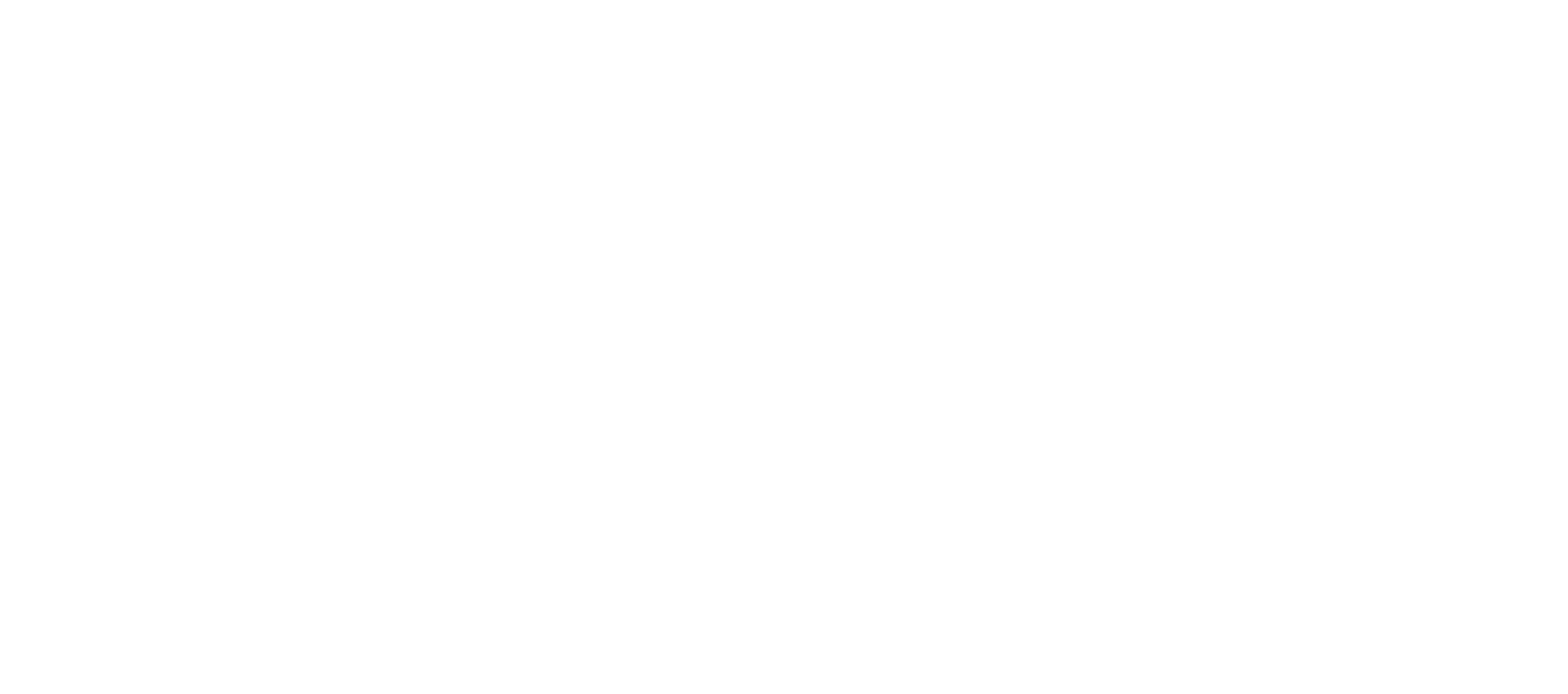 Logo SAYDUN